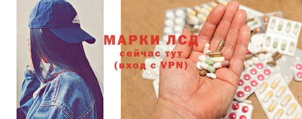 прущие грибы Касимов