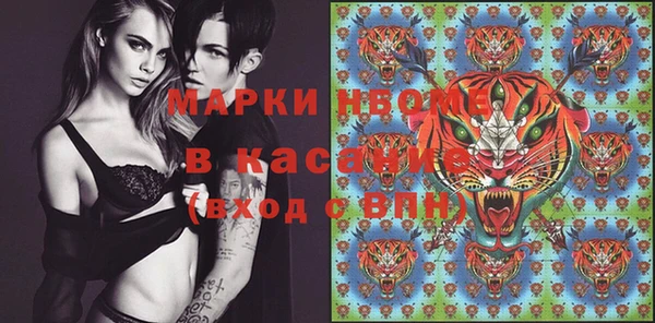прущие грибы Касимов