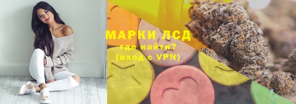 твердый Инта