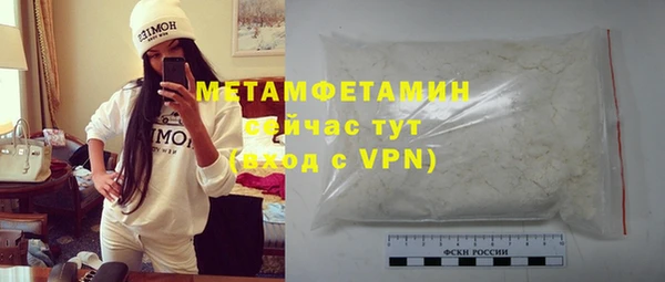 прущие грибы Касимов
