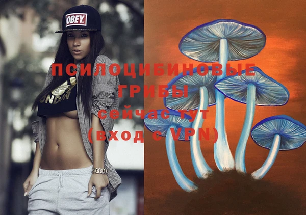 дмт Карталы