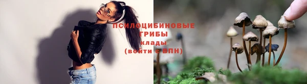 мет Каменка