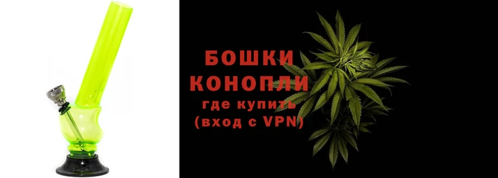 прущие грибы Касимов