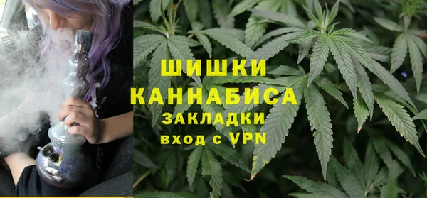 прущие грибы Касимов