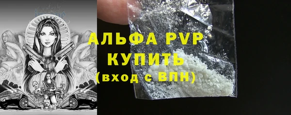 прущие грибы Касимов