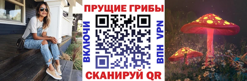 Псилоцибиновые грибы мухоморы  Купить где  Белореченск 